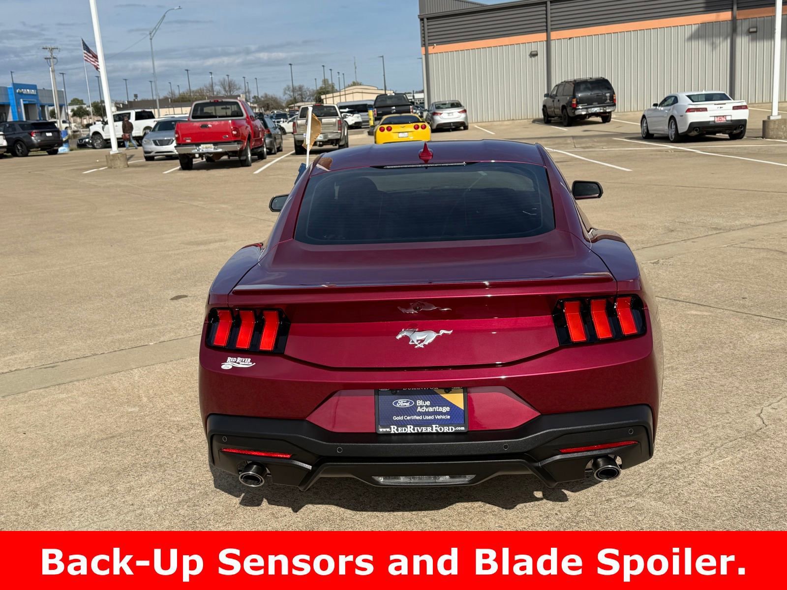 Certified 2025 Ford Mustang Premium image 4