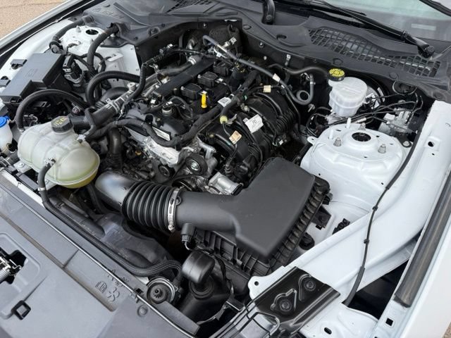 Certified 2023 Ford Mustang Coupe RWD image 36