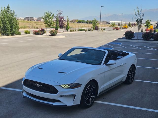 Certified 2023 Ford Mustang Premium RWD image 10