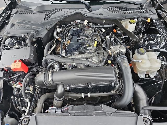 Certified 2024 Ford Mustang Premium RWD image 31