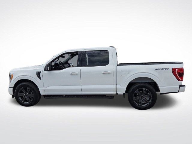 Certified 2023 Ford F150 XLT w/ Equipment Group 302A High RWD image 6