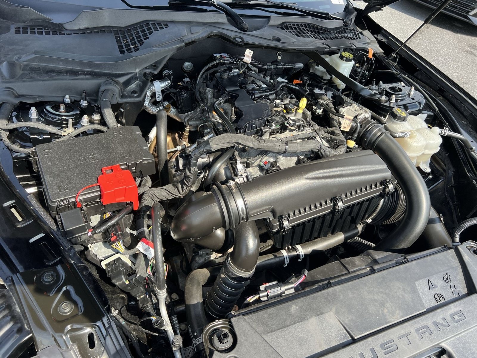 Certified 2024 Ford Mustang Premium RWD image 25