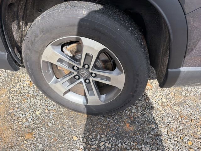 Used 2025 Honda Pilot EX-L image 7