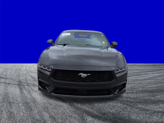 Certified 2024 Ford Mustang Premium image 9