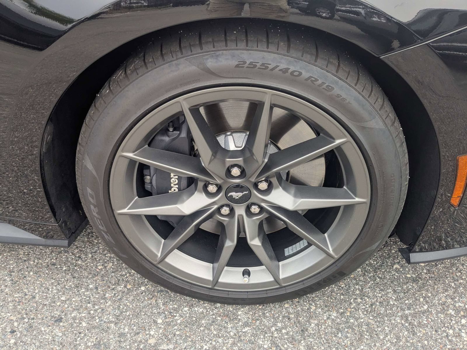 Certified 2024 Ford Mustang Dark Horse RWD image 11