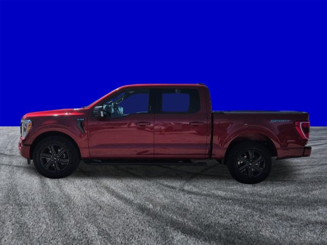 Certified 2023 Ford F150 XLT w/ Equipment Group 302A High RWD image 7