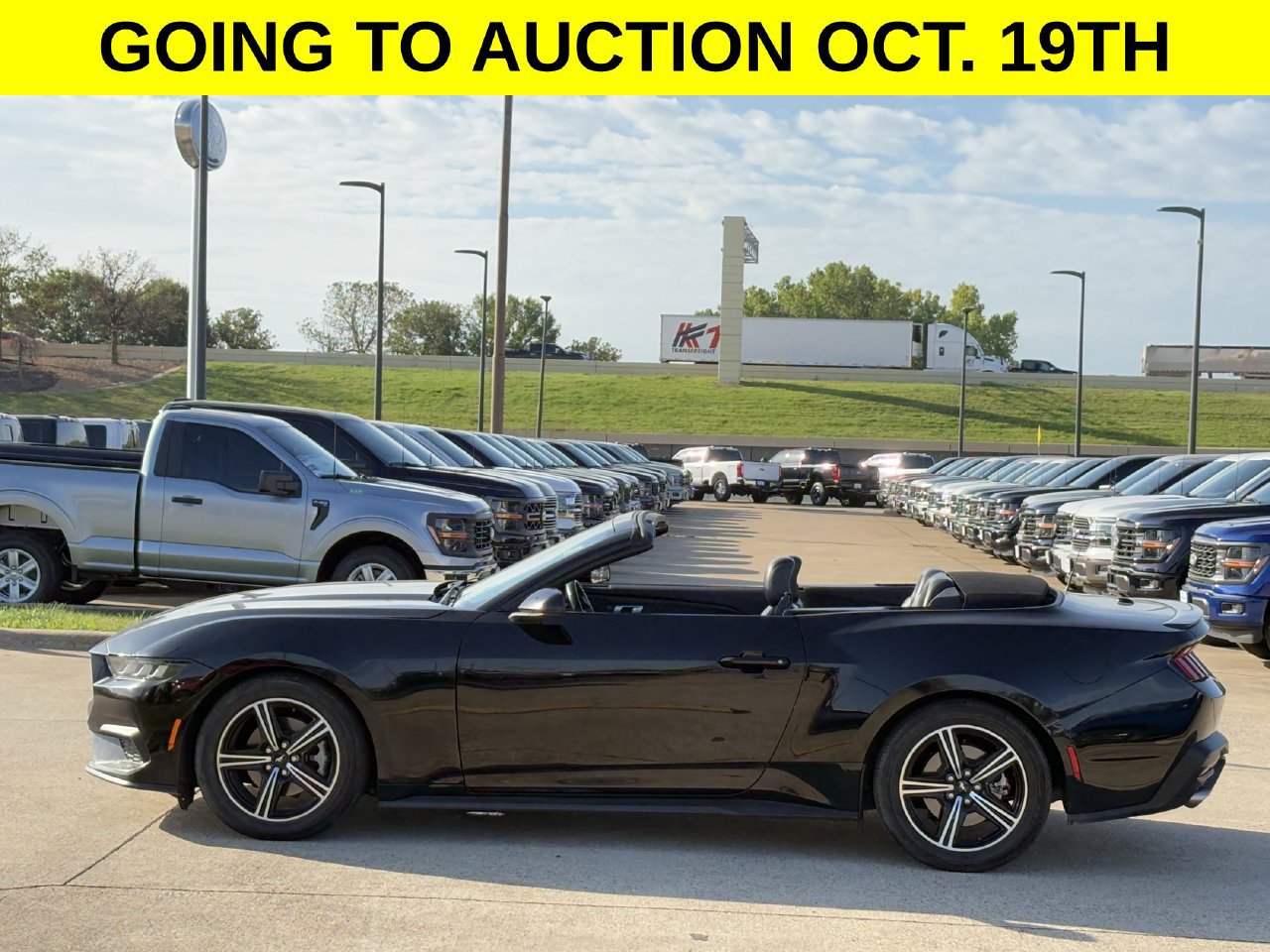 Certified 2024 Ford Mustang Premium RWD image 3