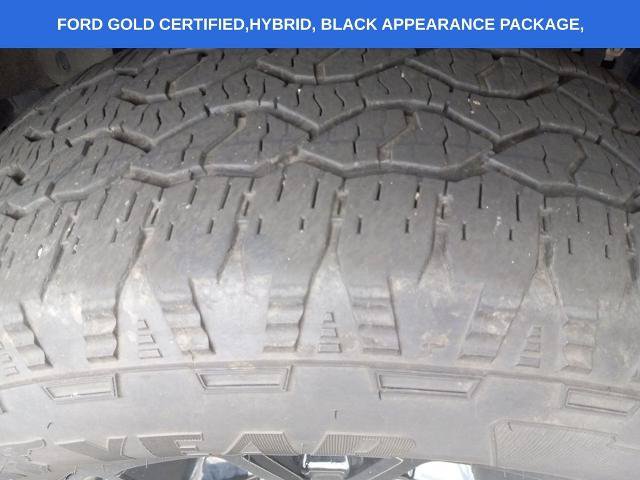 Certified 2024 Ford F150 XLT w/ Equipment Group 302A MID AWD/4WD image 9