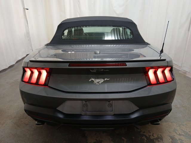 Certified 2024 Ford Mustang Premium image 4