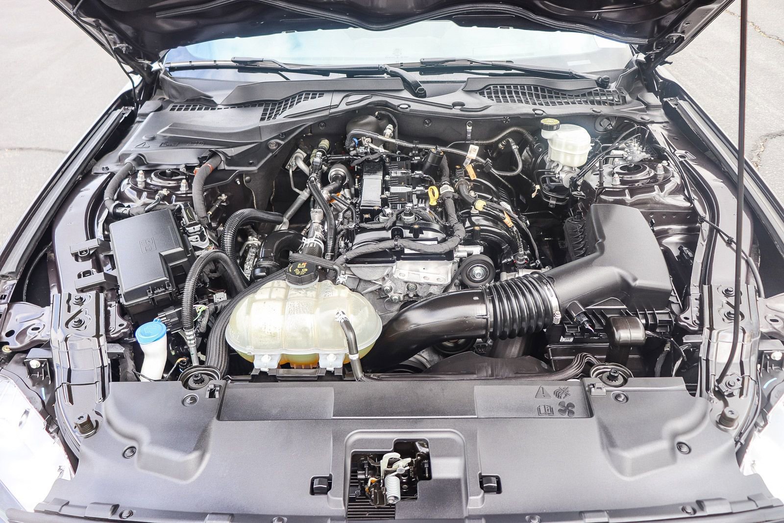 Certified 2023 Ford Mustang Coupe RWD image 26