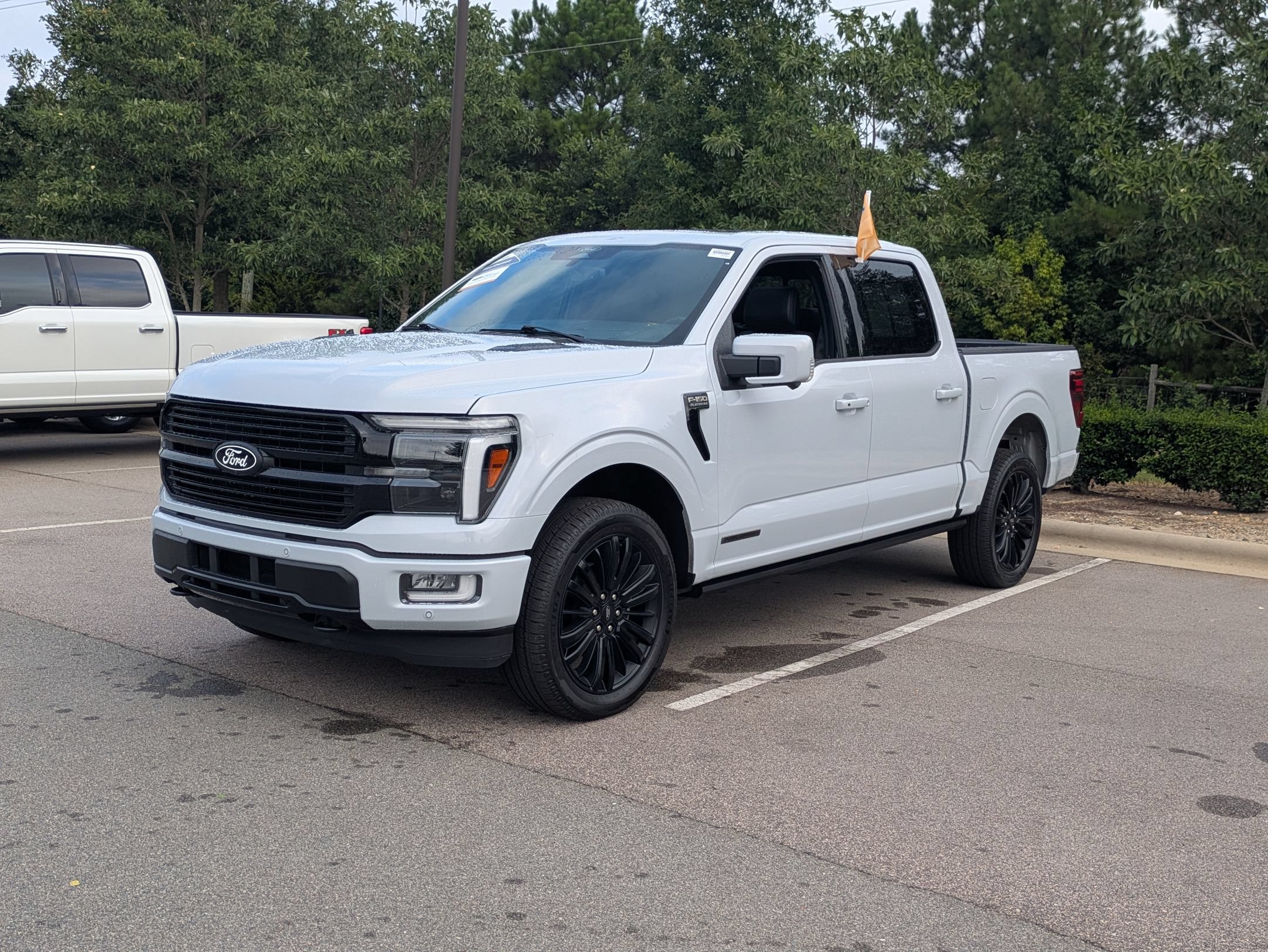 Certified 2025 Ford F150 Platinum w/ Equipment Group 702A High AWD/4WD image 8