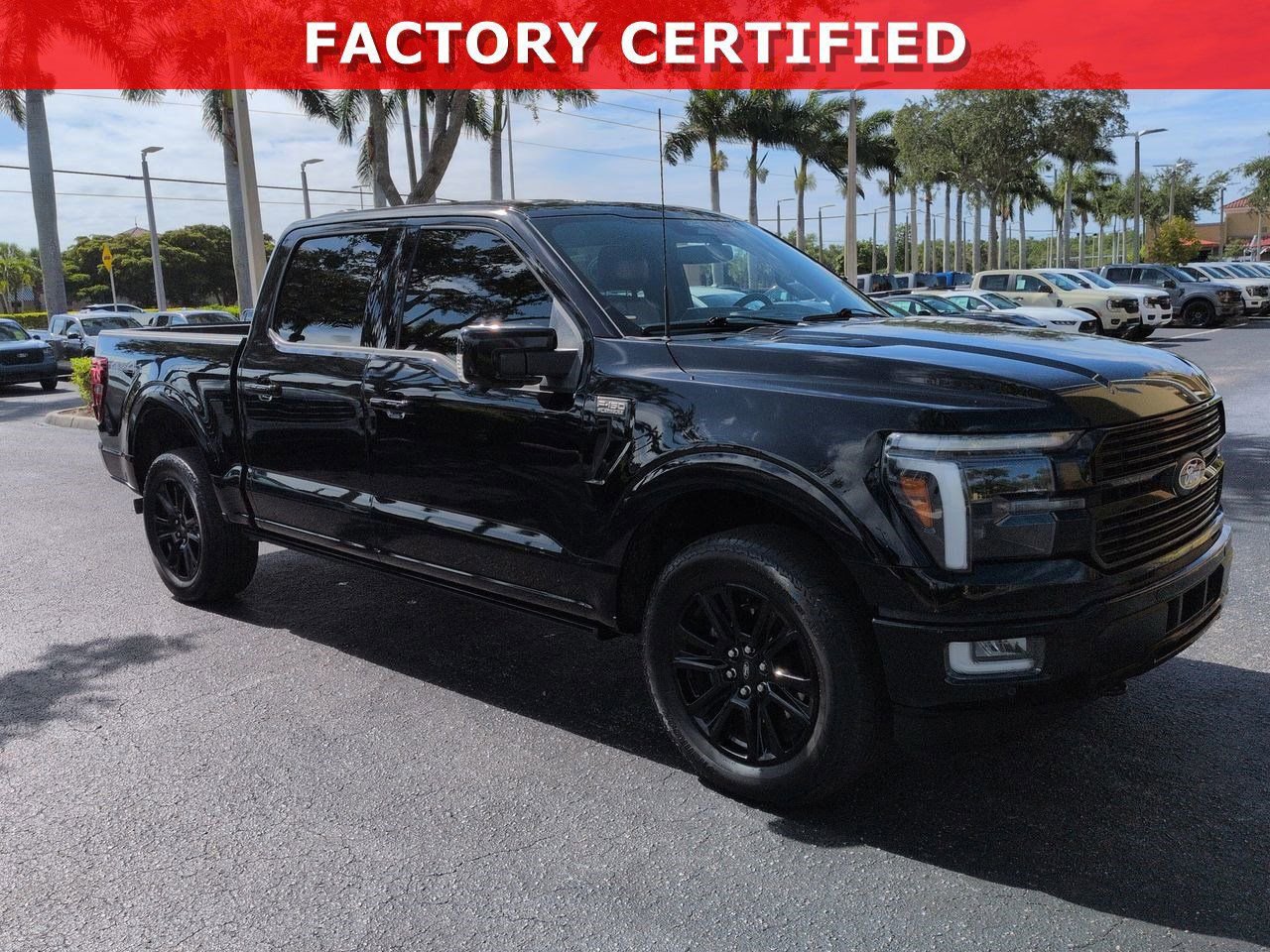 Certified 2024 Ford F150 Platinum