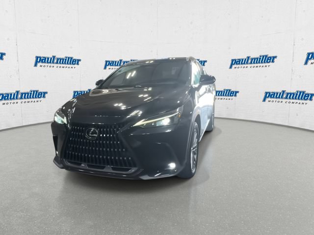Used 2023 Lexus NX 350h AWD image 4