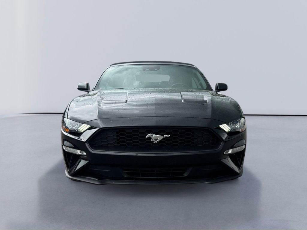 Certified 2021 Ford Mustang Premium image 8