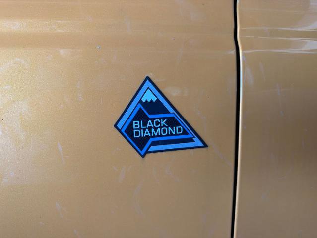 Certified 2022 Ford Bronco Black Diamond AWD/4WD image 17