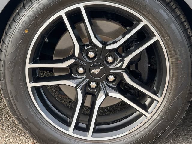 Certified 2022 Ford Mustang Premium w/ Ford Safe & Smart Package RWD image 15