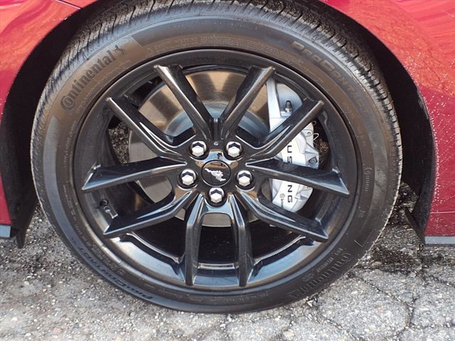 Certified 2025 Ford Mustang GT Premium w/ Mustang Nite Pony Package image 27