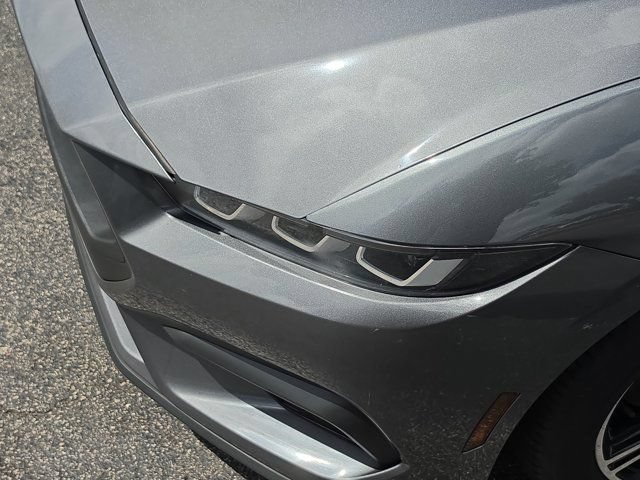 Certified 2024 Ford Mustang Premium RWD image 11