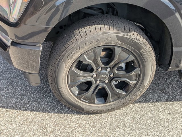 Certified 2023 Ford F150 XLT w/ Equipment Group 302A High image 11