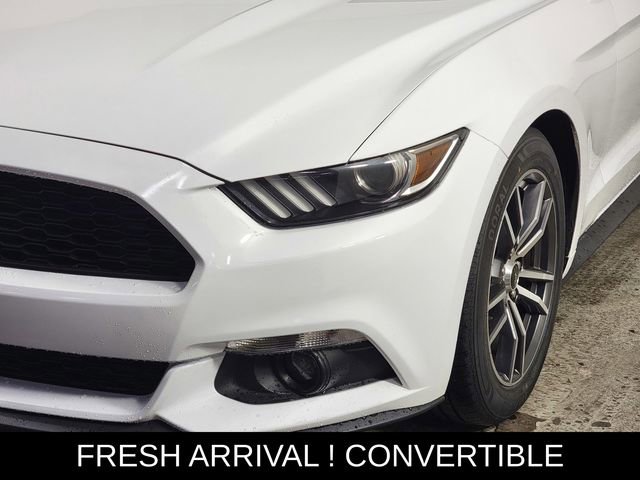 Certified 2017 Ford Mustang Premium RWD image 9