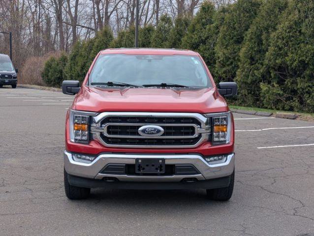 Certified 2023 Ford F150 XLT w/ Equipment Group 302A High AWD/4WD image 8