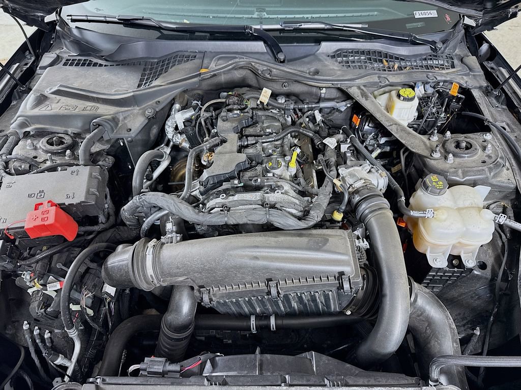 Certified 2024 Ford Mustang Premium image 29