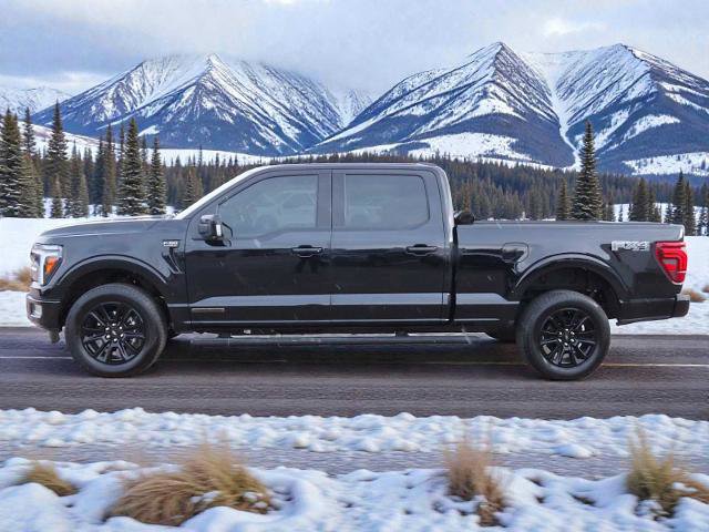 Certified 2025 Ford F150 Platinum w/ Equipment Group 702A High image 6