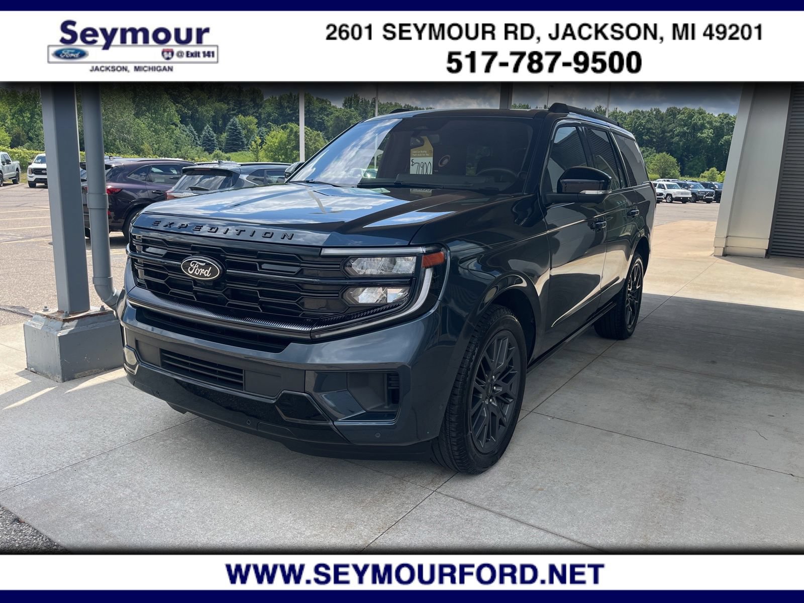 Certified 2025 Ford Expedition Platinum w/ Stealth Performance Package AWD/4WD image 1