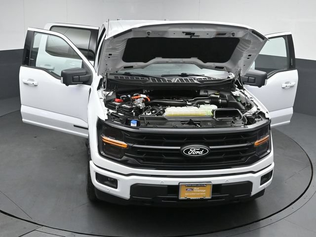 Certified 2024 Ford F150 XLT w/ Equipment Group 302A MID AWD/4WD image 53