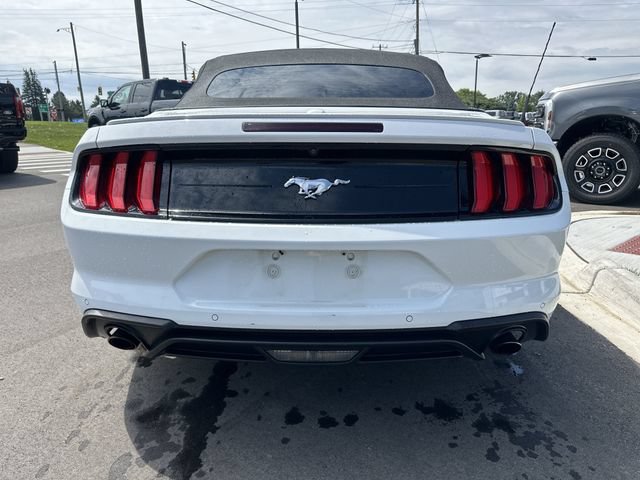 Certified 2022 Ford Mustang Premium RWD image 4