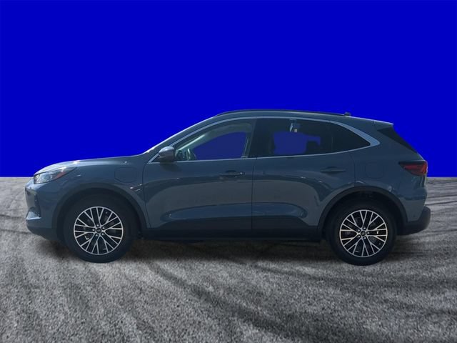 Certified 2024 Ford Escape SE w/ PHEV Premium Package FWD image 7
