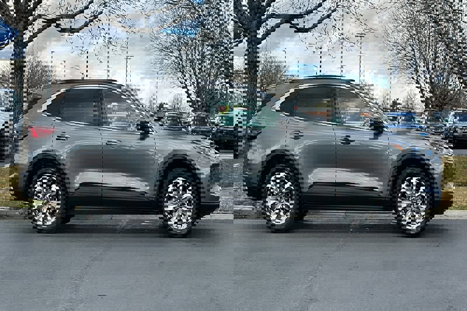 Certified 2025 Ford Escape Platinum image 6