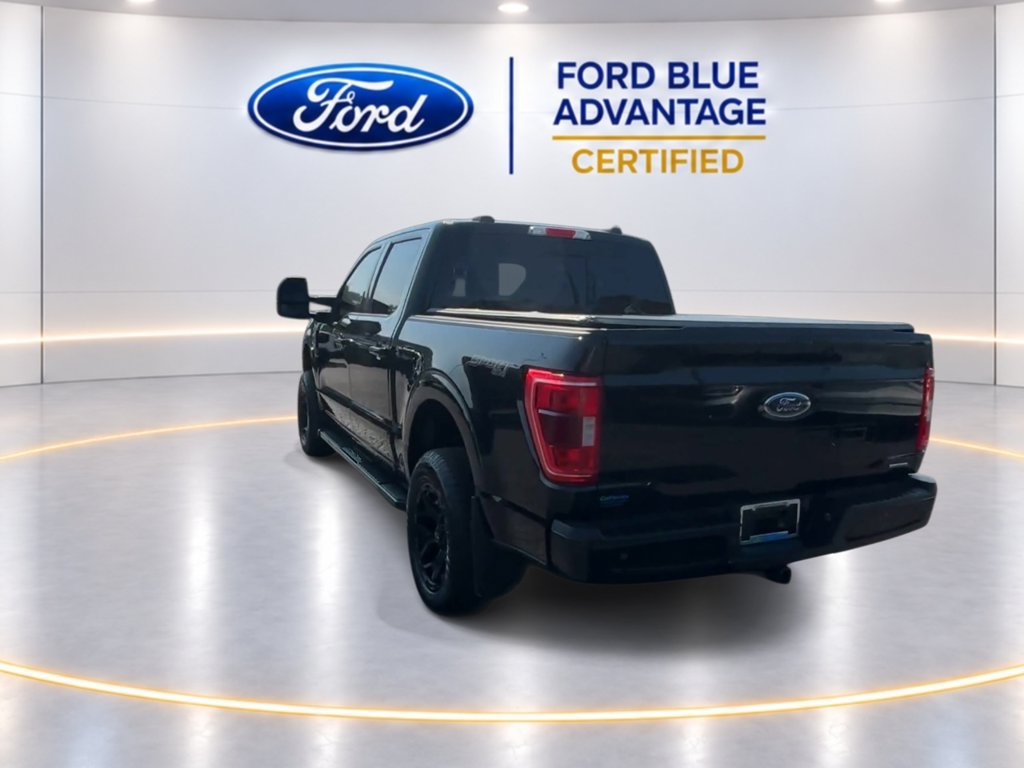 Certified 2023 Ford F150 XLT w/ Equipment Group 302A High AWD/4WD image 8