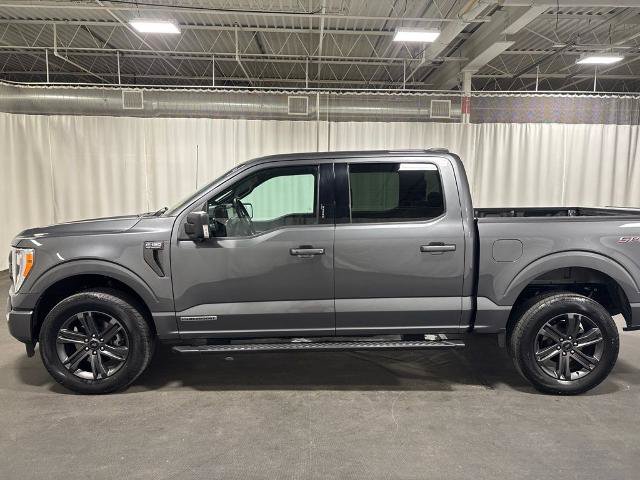 Certified 2023 Ford F150 XLT w/ Equipment Group 302A High AWD/4WD image 8