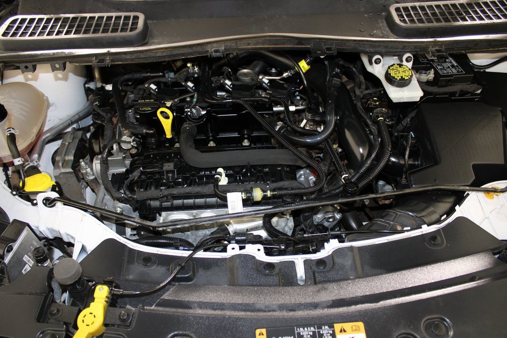 Certified 2019 Ford Escape SEL image 7