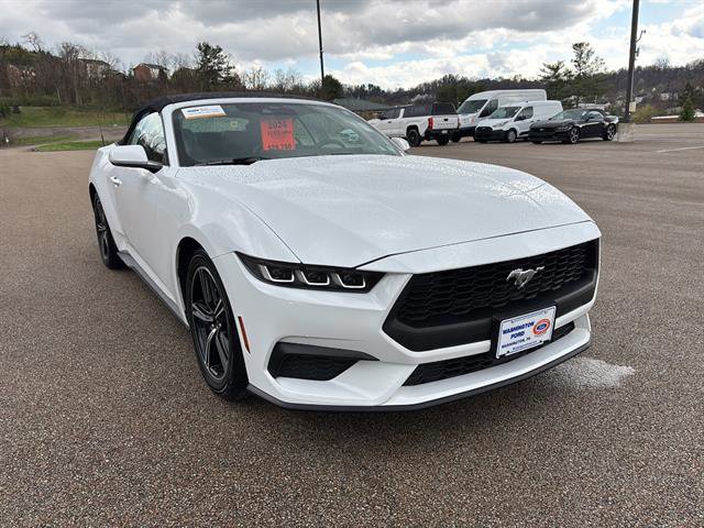 Certified 2024 Ford Mustang Premium image 7