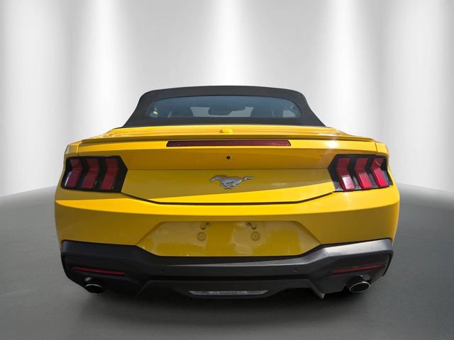 Certified 2024 Ford Mustang Premium RWD image 4