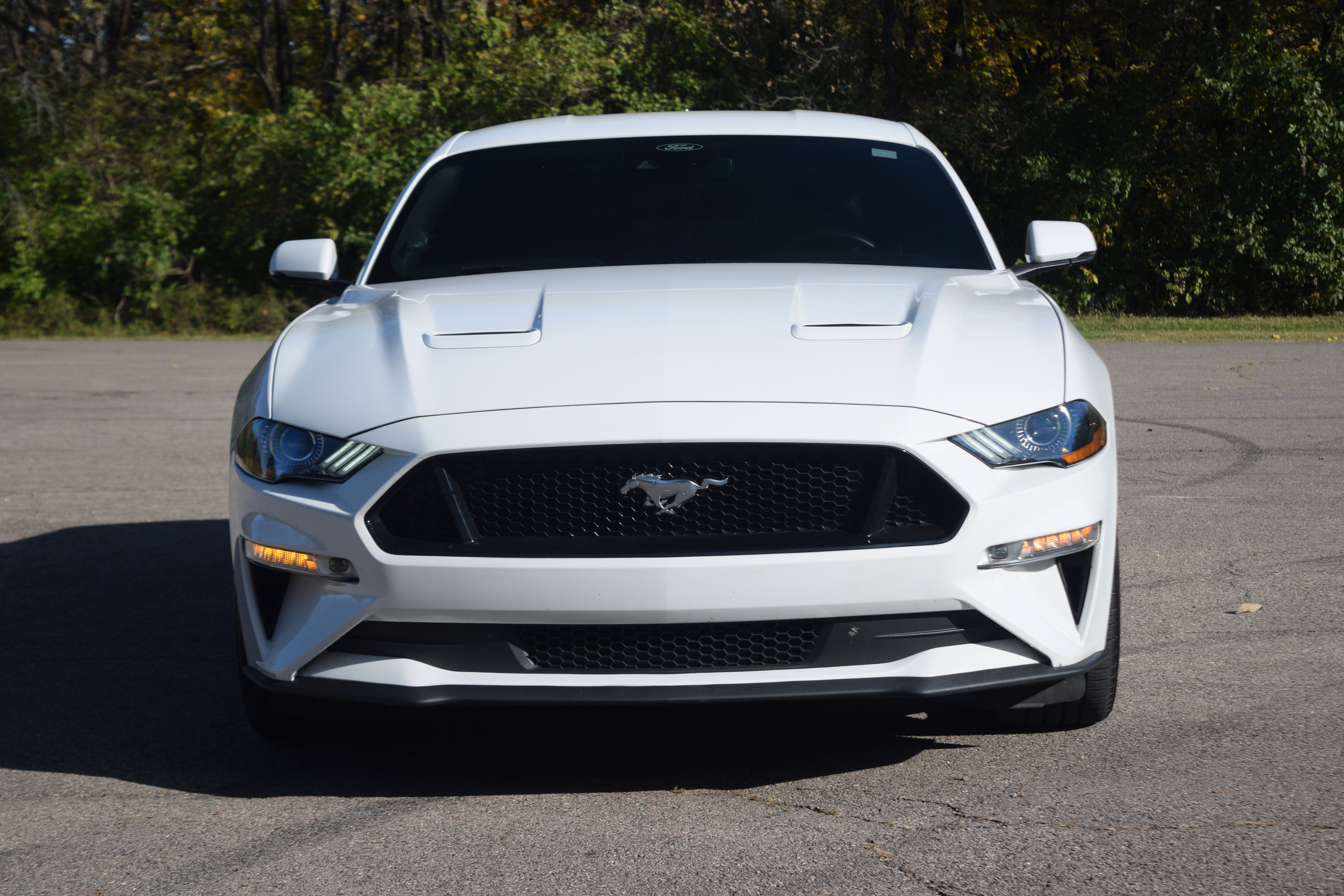 Certified 2022 Ford Mustang GT Premium w/ Equipment Group 401A image 18