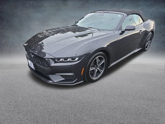Certified 2024 Ford Mustang Premium RWD image 3