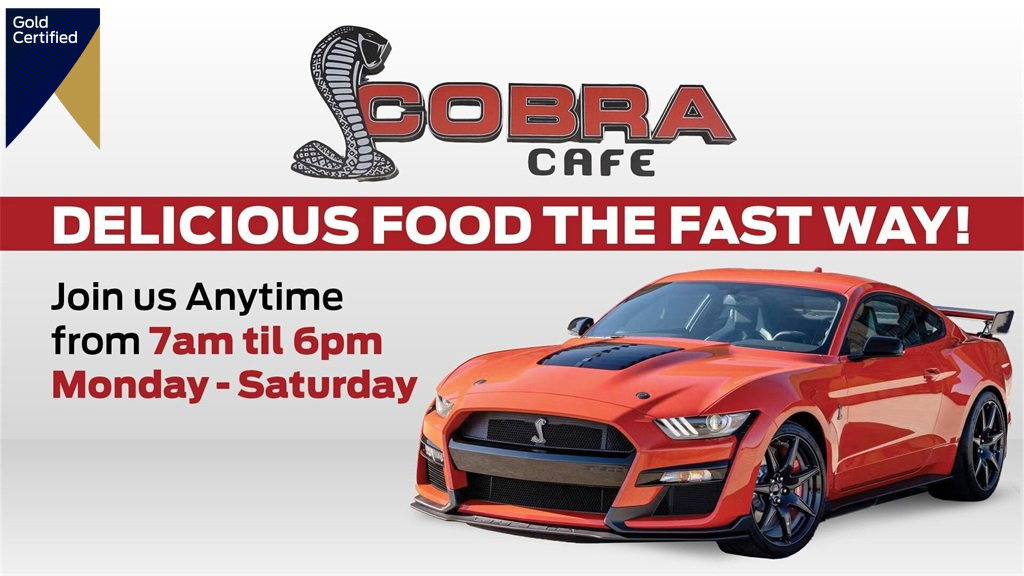 Certified 2024 Ford F150 XLT w/ Equipment Group 302A MID