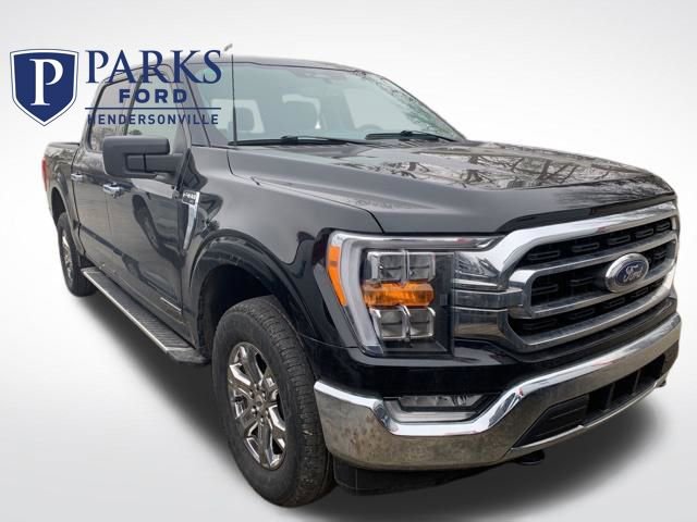Certified 2023 Ford F150 XLT w/ Equipment Group 302A High