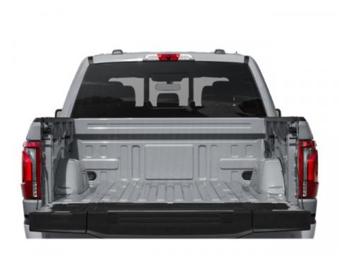 Certified 2024 Ford F150 Platinum image 11