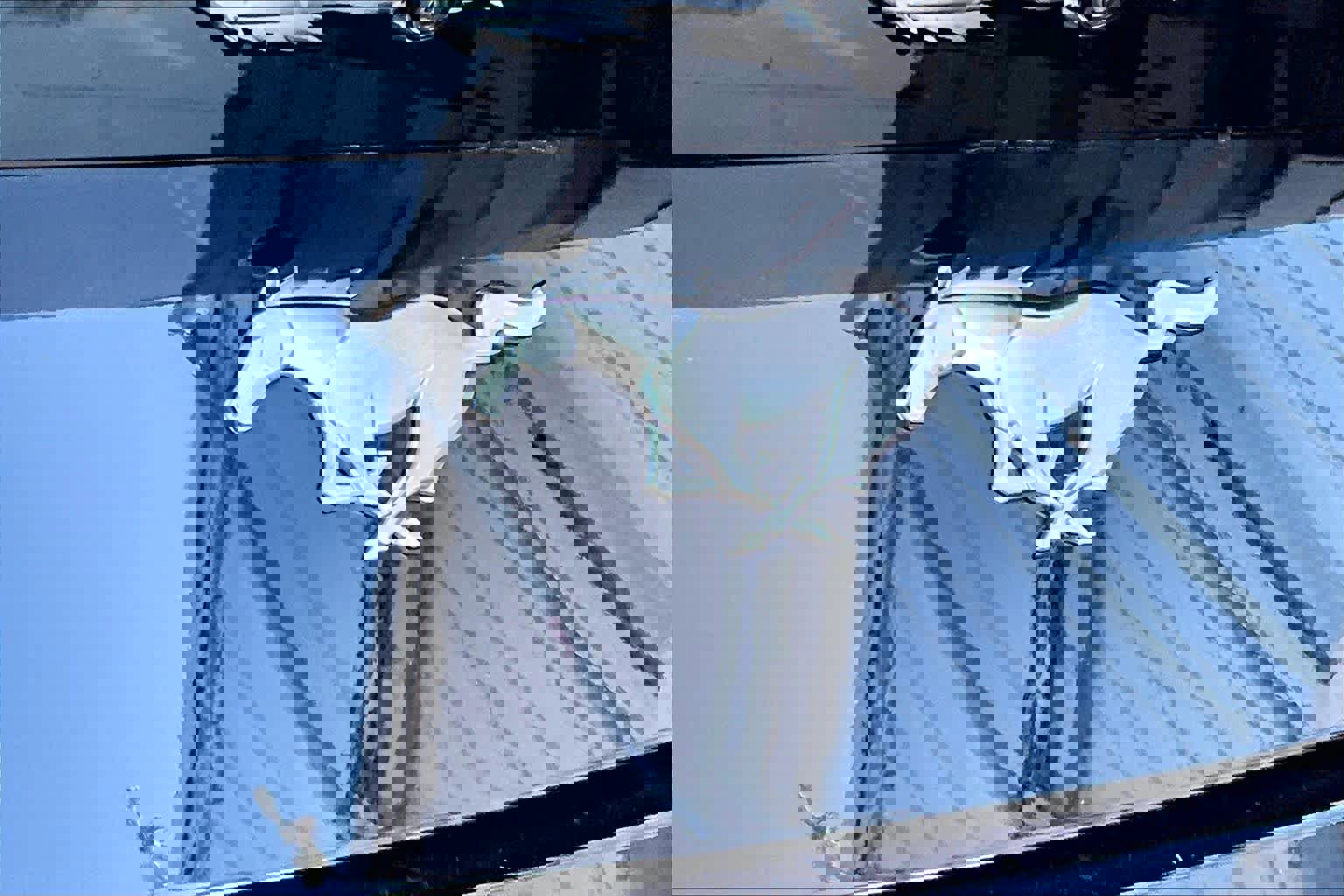 Certified 2025 Ford Mustang Coupe image 32