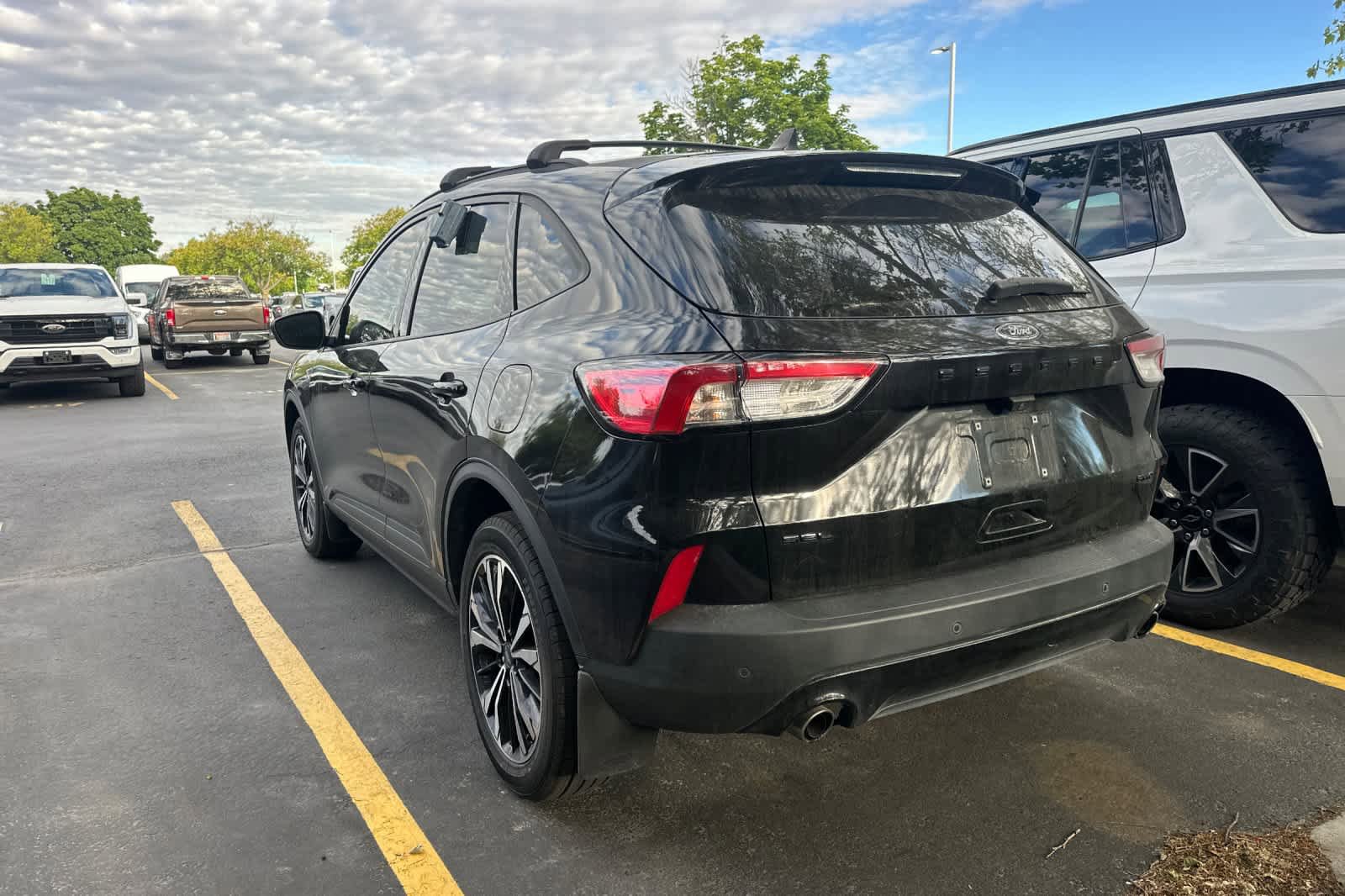 Certified 2022 Ford Escape SEL w/ SEL Stealth AWD Package image 6