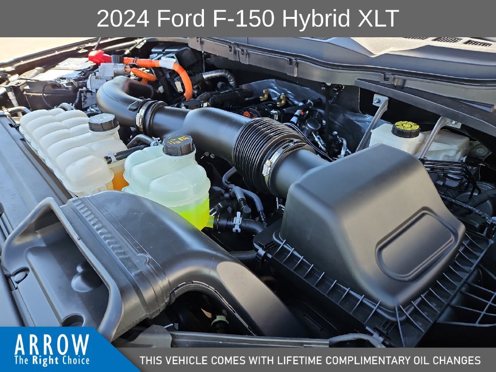 Certified 2024 Ford F150 XLT w/ Equipment Group 302A MID AWD/4WD image 15