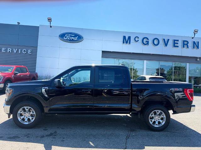 Certified 2023 Ford F150 XLT AWD/4WD image 5