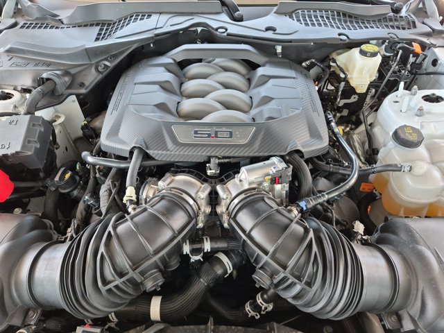 Certified 2025 Ford Mustang GT w/ Mustang Nite Pony Package RWD image 34