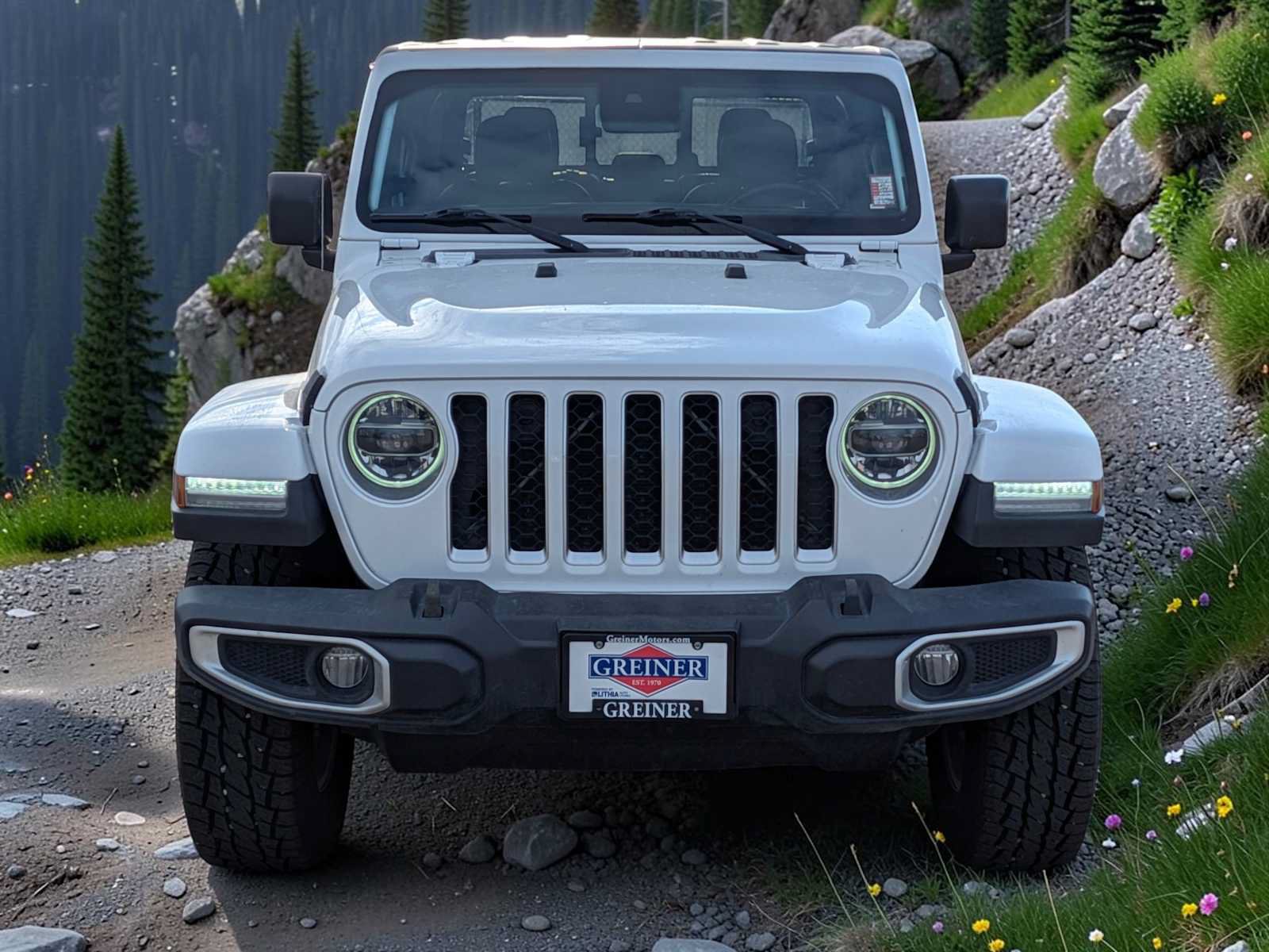 Used 2020 Jeep Gladiator Overland AWD/4WD image 9