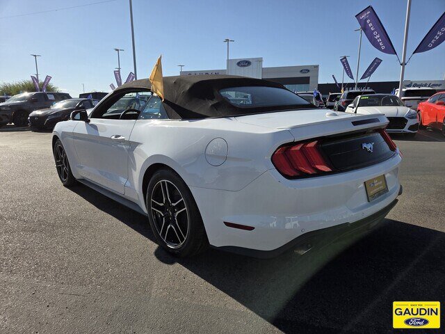 Certified 2022 Ford Mustang Premium RWD image 5