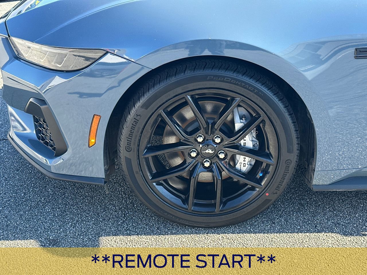 Certified 2024 Ford Mustang GT Premium w/ Mustang Nite Pony Package image 13